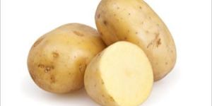Organic Potato