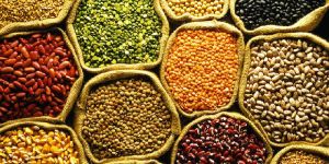 Organic Pulses