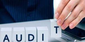 Auditing Services