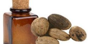 Nutmeg Essential Oil