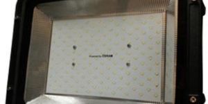 LED Flood Light-Pearl