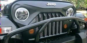 Gladiator Thar 4x4 Grill
