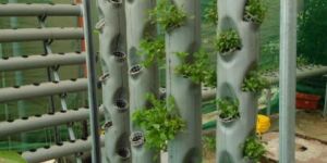 Vertical Farming