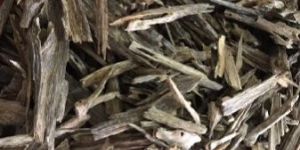 Agarwood Chip