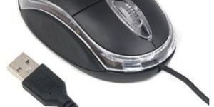 USB Mouse