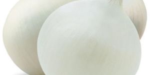 Natural White Onion