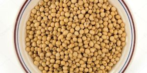 White Soybean Seeds