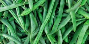 Natural Cluster Beans