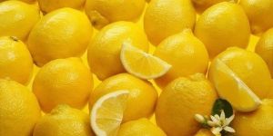 Organic Lemon