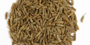Cumin Seeds