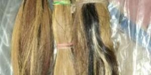 Buffalo White Tail Hair