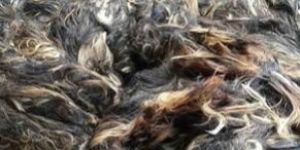 Buffalo Washed Tail Hair