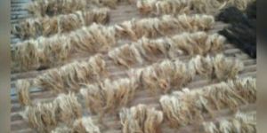 Goat Washed Tail Hair