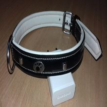 Leather Dog Collar