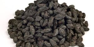 Black Raisins