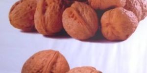 Shelled Walnuts