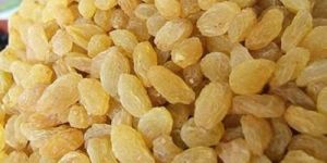 Yellow Raisins