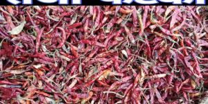 Teja Fatki Dried Red Chilli