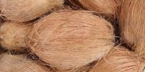 Fully Husked Coconut