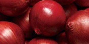 Natural Red Onion