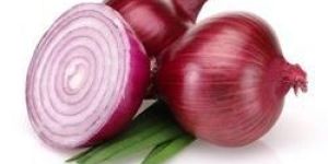 Organic Red Onion