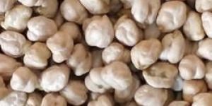 Organic White Chickpeas