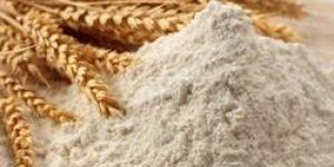 Refined Wheat Flour