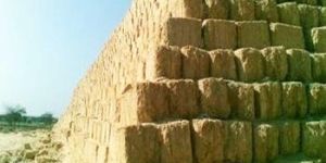 Sugarcane Bagasse Cubes