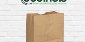 Grocery Paper Bag