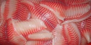 Tilapia Fillet