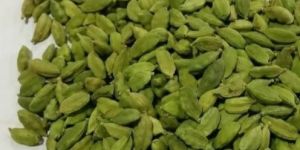 Fresh Green Cardamom