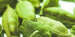 Large Green Cardamom