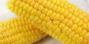 Whole Yellow Corn