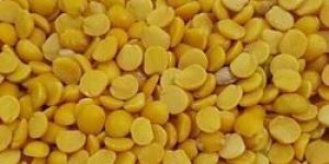 Yellow Toor Dal