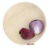 Leaf Made Rectangular Tray