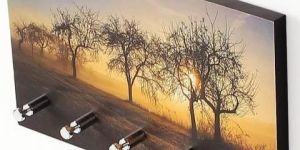 Vivid Art Work Key Holder