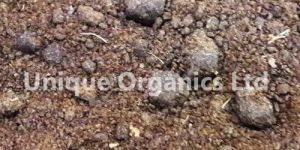 Indian Rapeseed Meal