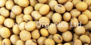 Organic Vermicompost