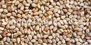 Sesame Seeds