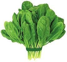 Fresh Spinach