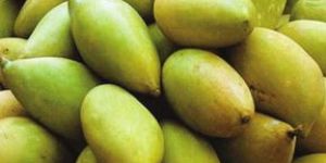 Fresh Totapuri Mango