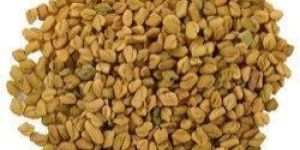 Loose Fenugreek Seeds