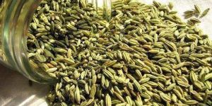 Natural Fennel Seeds