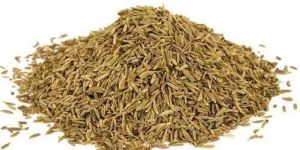 Organic Cumin Seeds
