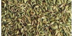 Cumin Seeds