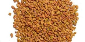 Yellow Fenugreek Seeds