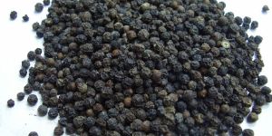 Black Pepper