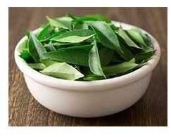 Fresh Curry Leaves