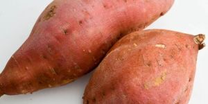 Fresh Sweet Potato