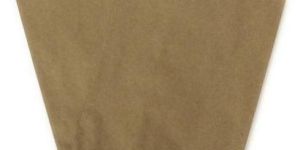 Medicine Paper Bag without Stripes